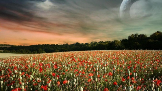 为什么苹果手机杀后台现象频繁?是内存不够、后台管理严格还是其他原因呢?